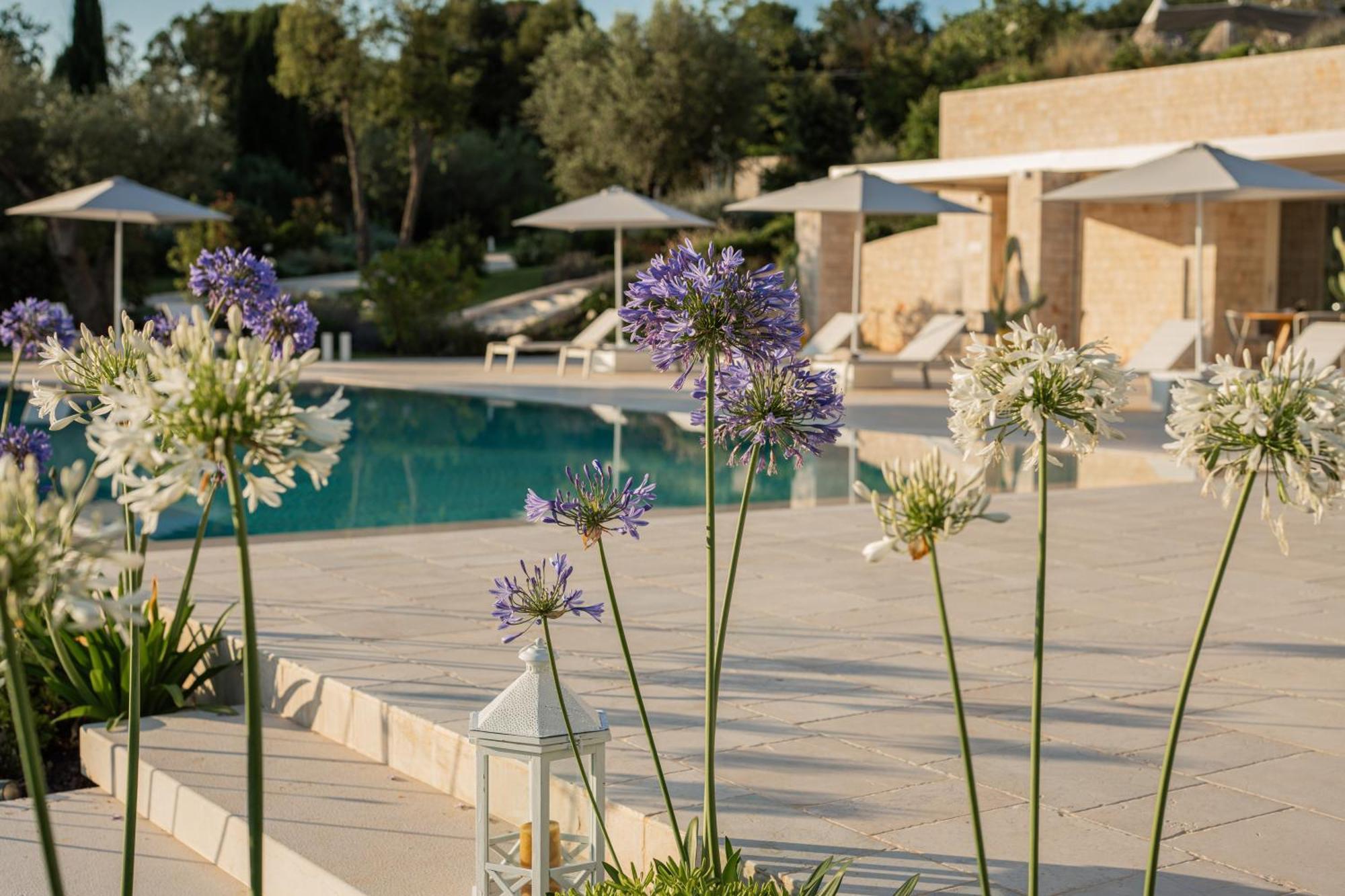 مبيت وإفطار تْشيستيرنِنو Essenza Relais Contemporaneo المظهر الخارجي الصورة